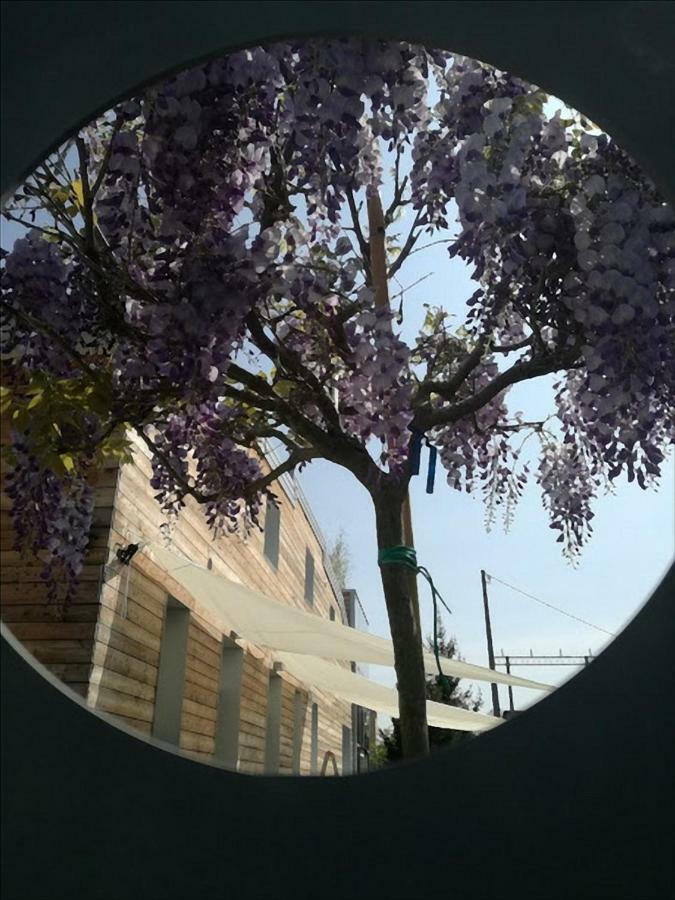 Via Dei Dori B&B Mirano Dış mekan fotoğraf